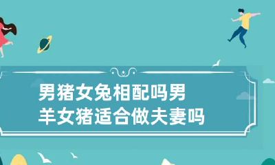 男猪女兔相配吗 男羊女猪适合做夫妻吗