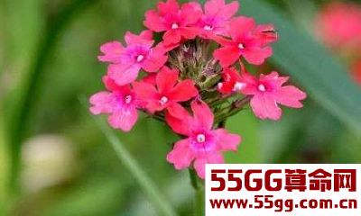 恭喜这4生肖，2018年第一周，1运势上上签，2贵人如云，3财源大旺