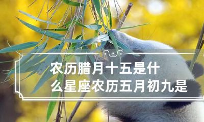 农历腊月十五是什么星座 农历五月初九是什么星座