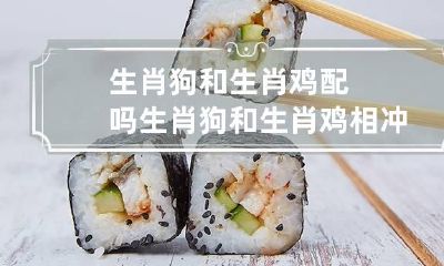 生肖狗和生肖鸡配吗 生肖狗和生肖鸡相冲吗