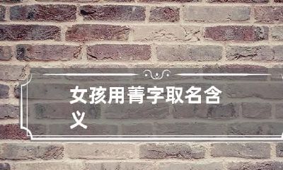 女孩用菁字取名含义