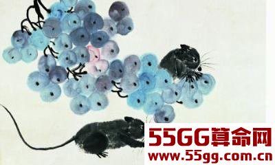 明年开始这三个生肖是宠儿，财源滚滚不断，赚钱也最容易！