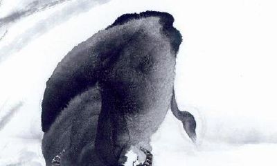 这几个生肖的人面慈心善，福气深厚，生活轻松幸福！