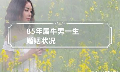 85年属牛男一生婚姻状况