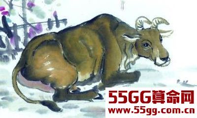 年轻时最被人瞧不起的三大生肖，40岁后个个富得流油