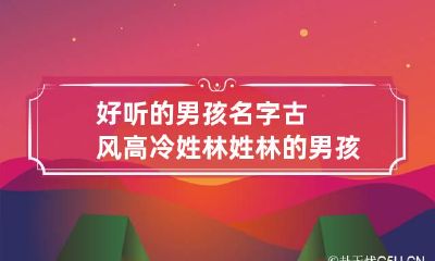 好听的男孩名字古风高冷姓林 姓林的男孩名字高冷霸气