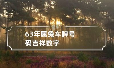 63年属兔车牌号码吉祥数字