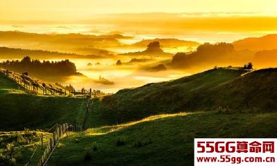 迟早要“出人头地”的生肖