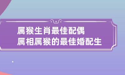 属猴生肖最佳配偶属相 属猴的最佳婚配生肖