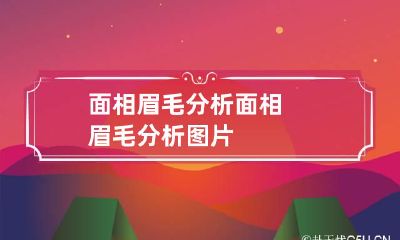 面相眉毛分析 面相眉毛分析图片
