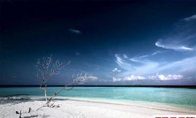 发不了大财，但小财不断的生肖