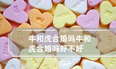 牛和虎合婚吗 牛和虎合婚吗好不好