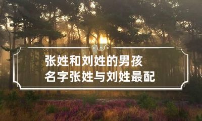 张姓和刘姓的男孩名字 张姓与刘姓最配