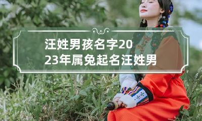 汪姓男孩名字2023年属兔起名 汪姓男孩取名100分免费