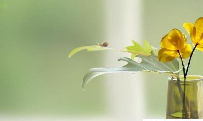 容易“存不住钱”的生肖