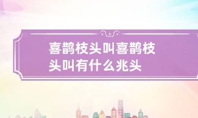 喜鹊枝头叫 喜鹊枝头叫有什么兆头