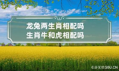 龙兔两生肖相配吗 生肖牛和虎相配吗