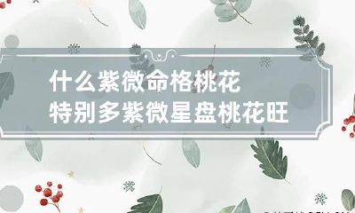 什么紫微命格桃花特别多 紫微星盘桃花旺怎么看