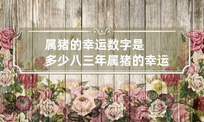 属猪的幸运数字是多少 八三年属猪的幸运数字是多少