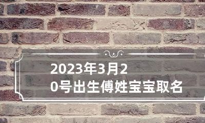 2023年3月20号出生傅姓宝宝取名叫什么 傅名字女孩三个字
