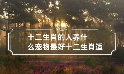 十二生肖的人养什么宠物最好 十二生肖适合养什么动物旺财