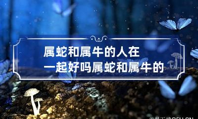 属蛇和属牛的人在一起好吗 属蛇和属牛的人在一起好吗