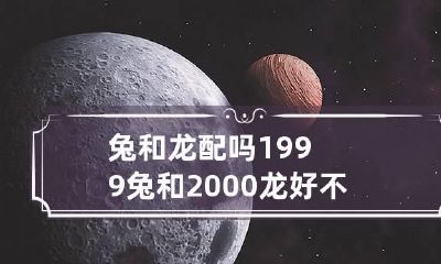 兔和龙配吗 1999兔和2000龙好不好