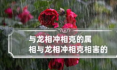 与龙相冲相克的属相 与龙相冲相克相害的生肖是哪些生肖