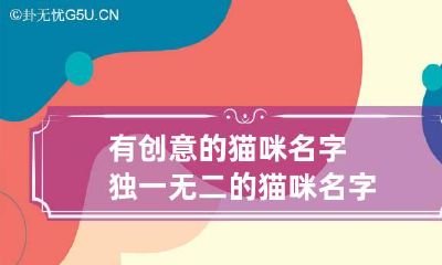 有创意的猫咪名字 独一无二的猫咪名字