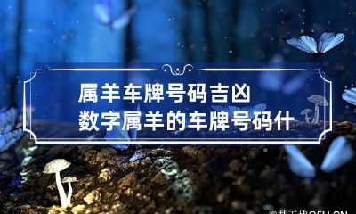 属羊车牌号码吉凶数字 属羊的车牌号码什么最吉