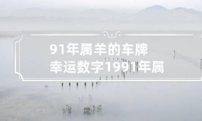 91年属羊的车牌幸运数字 1991年属羊的车牌尾号是几幸运号
