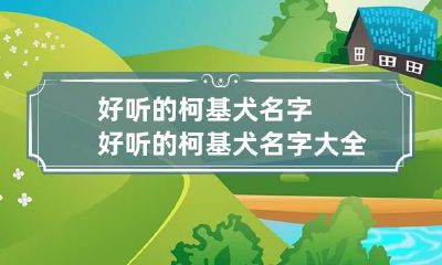 好听的柯基犬名字 好听的柯基犬名字大全
