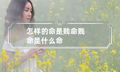 怎样的命是贱命 贱命是什么命