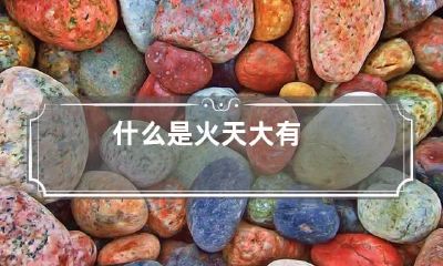 什么是火天大有