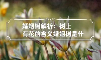 婚姻树解析：树上有花的含义 婚姻树是什么