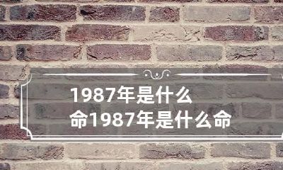 1987年是什么命 1987年是什么命金木水火土