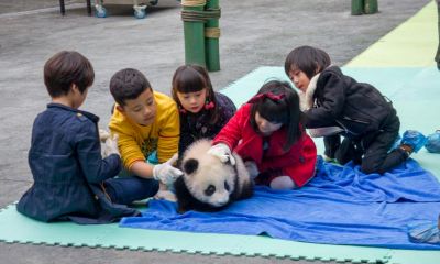 给男孩取名,给男孩取个好名字