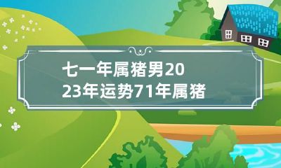 七一年属猪男2023年运势 71年属猪男人在2023年的全年运势