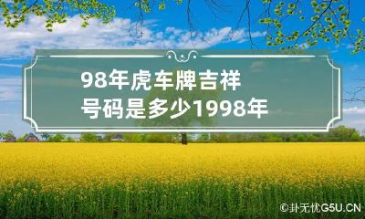 98年虎车牌吉祥号码是多少 1998年什么车最好