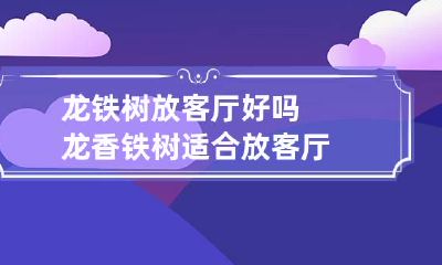 龙铁树放客厅好吗 龙香铁树适合放客厅