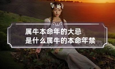 属牛本命年的大忌是什么 属牛的本命年禁忌
