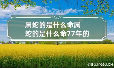 属蛇的是什么命 属蛇的是什么命77年的