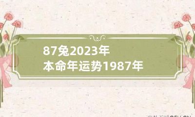 87兔2023年本命年运势 1987年属兔36岁本命年