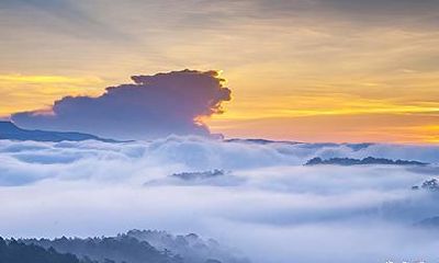 泰山石放在家里哪个位置好 家中哪里不适合放泰山石