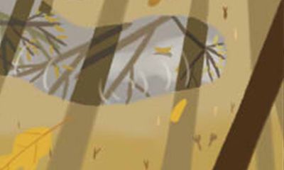 生肖狗相亲时会关注对方的三大点