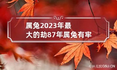 属兔2023年最大的劫 87年属兔有牢狱之灾
