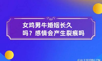 女鸡男牛婚姻长久吗？感情会产生裂痕吗？