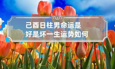 己酉日柱男命运是好是坏 一生运势如何
