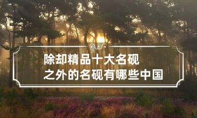 除却精品十大名砚之外的名砚有哪些 中国古代十大名砚