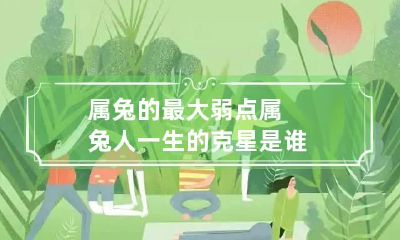 属兔的最大弱点 属兔人一生的克星是谁